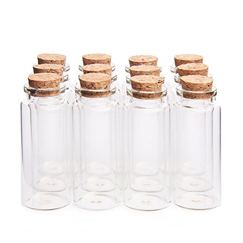 Danmu 30ml 1.18" x 2.75" Mini Glass Bottles, Jars with Wood Cork Stoppers, Tiny Glass Jars, Wishing Bottles, Message Bottle for Wedding Favors, Halloween Decorations, Baby Shower Favors(12Pcs)