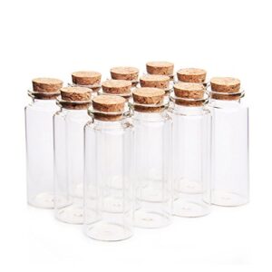 Danmu 30ml 1.18" x 2.75" Mini Glass Bottles, Jars with Wood Cork Stoppers, Tiny Glass Jars, Wishing Bottles, Message Bottle for Wedding Favors, Halloween Decorations, Baby Shower Favors(12Pcs)