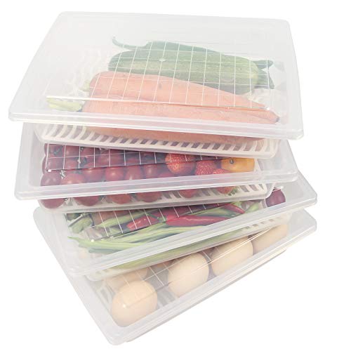 Yiautao Food Storage Container, Plastic Food Containers with Removable Drain Plate and Lid, Stackable Portable Freezer Storage Containers - Tray to Keep Fruits, Vegetables, Meat and More (4,Large)