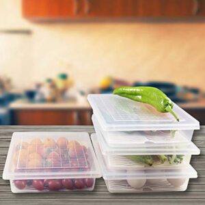 Yiautao Food Storage Container, Plastic Food Containers with Removable Drain Plate and Lid, Stackable Portable Freezer Storage Containers - Tray to Keep Fruits, Vegetables, Meat and More (4,Large)