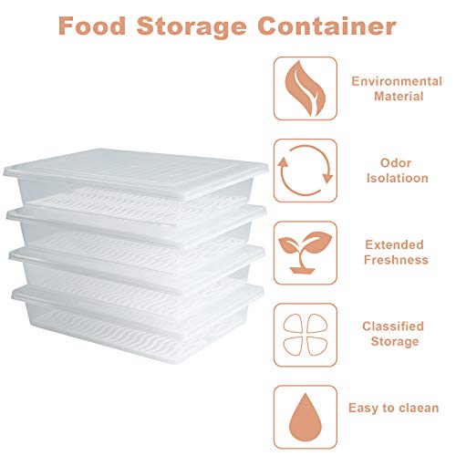 Yiautao Food Storage Container, Plastic Food Containers with Removable Drain Plate and Lid, Stackable Portable Freezer Storage Containers - Tray to Keep Fruits, Vegetables, Meat and More (4,Large)