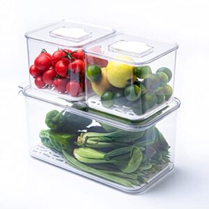 azonein clear plastic stackable storage boxes – 3 pcs kitchen fruit freezer storage containers fridge organisers bins with valve and removable drain board…