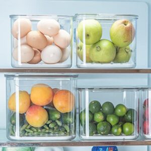 AZONEIN Clear Plastic Stackable Storage Boxes - 3 PCS Kitchen Fruit Freezer Storage Containers Fridge Organisers Bins With Valve And Removable Drain Board…