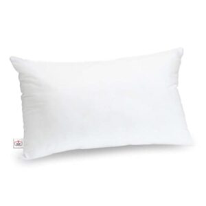 trendy home 12×20 throw pillow insert, cushion sham stuffer hypoallergenic, lumbar support decorative home outdoor couch bed pillow filler (non woven)