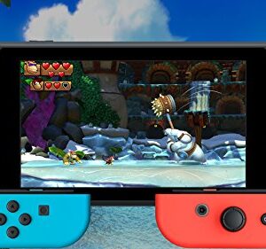 Donkey Kong Country: Tropical Freeze - Nintendo Switch