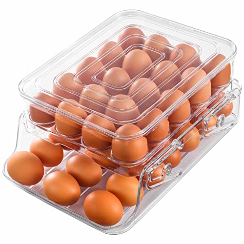 HNNJCK Egg Holder for Refrigerator, Egg Storage Container for Refrigerator, Foldable Kitchen & Fridge Fresh Egg Organizer Bins, Automatic Rolling Clear Plastic Egg Tray with Lid, 2 Layer