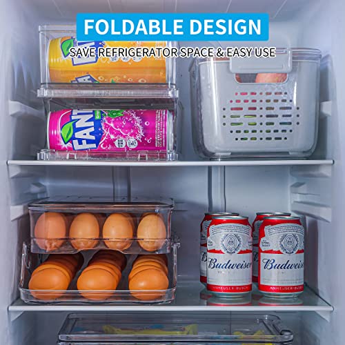 HNNJCK Egg Holder for Refrigerator, Egg Storage Container for Refrigerator, Foldable Kitchen & Fridge Fresh Egg Organizer Bins, Automatic Rolling Clear Plastic Egg Tray with Lid, 2 Layer