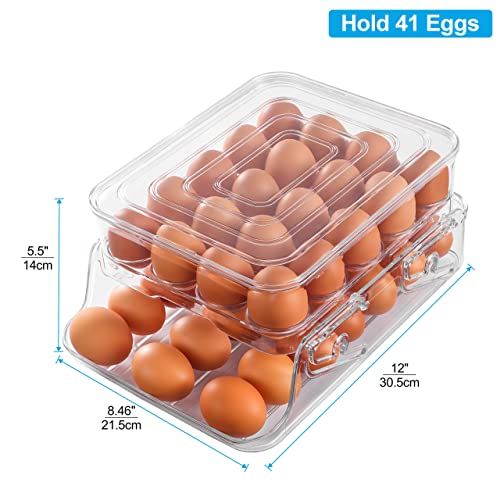 HNNJCK Egg Holder for Refrigerator, Egg Storage Container for Refrigerator, Foldable Kitchen & Fridge Fresh Egg Organizer Bins, Automatic Rolling Clear Plastic Egg Tray with Lid, 2 Layer