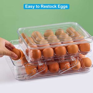 HNNJCK Egg Holder for Refrigerator, Egg Storage Container for Refrigerator, Foldable Kitchen & Fridge Fresh Egg Organizer Bins, Automatic Rolling Clear Plastic Egg Tray with Lid, 2 Layer