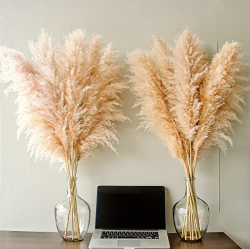 Bannifll 40" inch 10 Stems Natural Pampas Grass Decor Tall, pompas Grass, Tall Pampas Grass for Wedding, Party, Farmhouse, Boho Home Decor