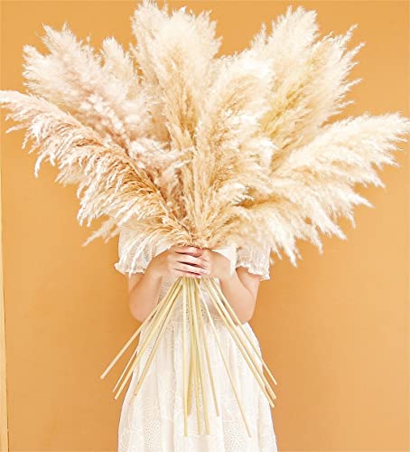 Bannifll 40" inch 10 Stems Natural Pampas Grass Decor Tall, pompas Grass, Tall Pampas Grass for Wedding, Party, Farmhouse, Boho Home Decor