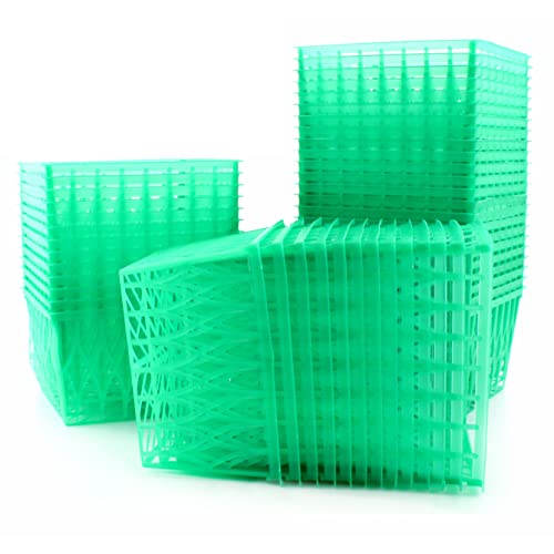 Cornucopia Pint Size Plastic Berry Baskets (48-Pack), 4-Inch Berry Boxes with Open-Weave Pattern, Ideal for Summer Picking & Crafts! (48 Boxes)