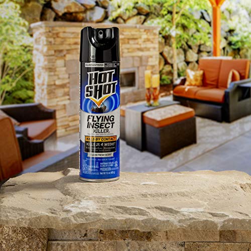 Flying Insect Killer, 15 oz., Aerosol