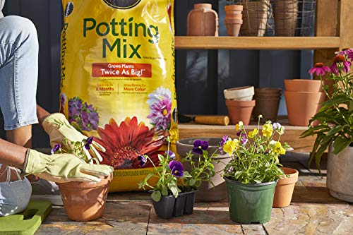 Miracle-Gro Potting Mix