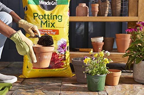 Miracle-Gro Potting Mix