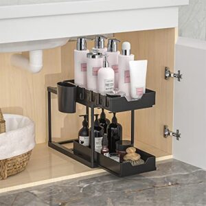 Vantency TANVENCY Double Sliding Cabinet Organizer, Pull Out Bathroom Shelf Organizer Rack With 2 Drawers, 2 Tier Under Sink Organizers and Storage for Kitchen, Bathroom