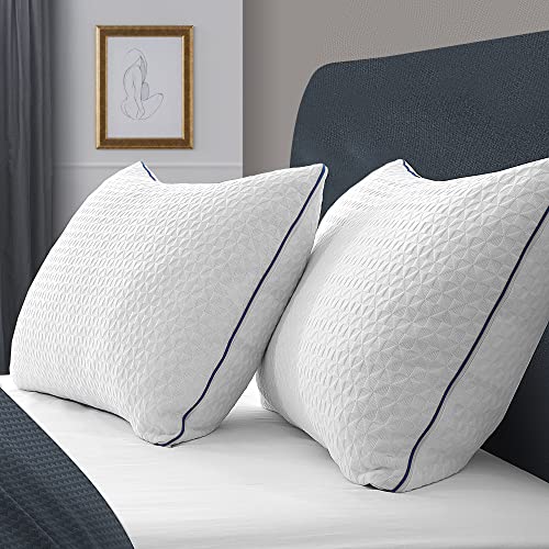 viewstar Pillows Queen Size Set of 2, Firm and Supportive Shredded Memory Foam Pillows, Adjustable Loft Back Side Sleeper Bed Pillow with Washable Removable Cover, 20"x 30"