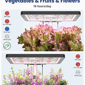 iDOO Hydroponics Growing System 12Pods, Indoor Garden with LED Grow Light, Plants Germination Kit, Built-in Fan, Automatic Timer, Adjustable Height Up to 11.3" for Home, Office