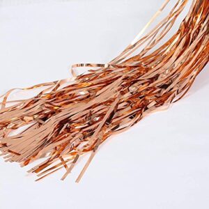 Fecedy 2pcs 3ft x 8.3ft Rose Gold Metallic Tinsel Foil Fringe Curtains Photo Booth Props for Birthday Wedding Engagement Bridal Shower Baby Shower Bachelorette Holiday Celebration Party Decorations