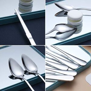 Grapefruit Spoons 5 Pieces Set, 4 Stainless Steel Grapefruit Spoon And 1 Grapefruit knife With Titanium Plating, Grapefruit Utensil Set, Serrated Edges Spoon pack of 5 ( Silver)