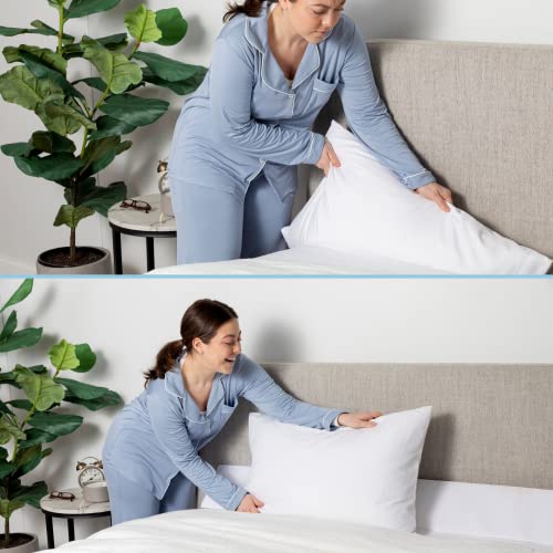 SnugStop The Original Bed Wedge Mattress Filler, Bed Wedge Pillow, Bed Headboard Pillow Wedge, Gap Filler Between Your Headboard and Mattress, Triangle Pillow Wedge, Don't Lose Your Pillow (Queen)