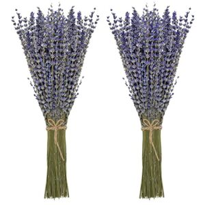 timoo dried lavender bundles 100% natural dried lavender flowers for home decoration, photo props, home fragrance, 2 bundles pack