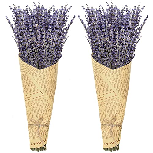 Timoo Dried Lavender Bundles 100% Natural Dried Lavender Flowers for Home Decoration, Photo Props, Home Fragrance, 2 Bundles Pack