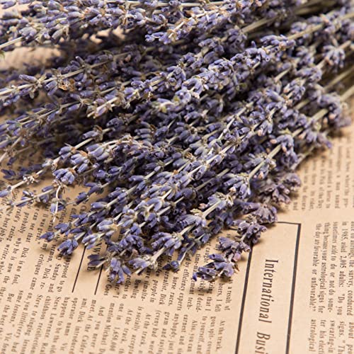 Timoo Dried Lavender Bundles 100% Natural Dried Lavender Flowers for Home Decoration, Photo Props, Home Fragrance, 2 Bundles Pack