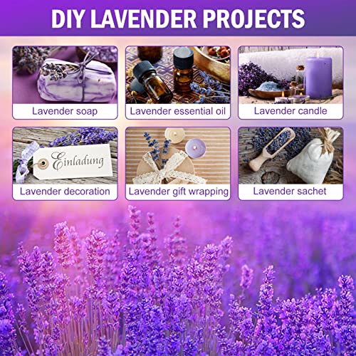 Timoo Dried Lavender Bundles 100% Natural Dried Lavender Flowers for Home Decoration, Photo Props, Home Fragrance, 2 Bundles Pack