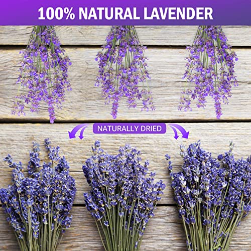 Timoo Dried Lavender Bundles 100% Natural Dried Lavender Flowers for Home Decoration, Photo Props, Home Fragrance, 2 Bundles Pack