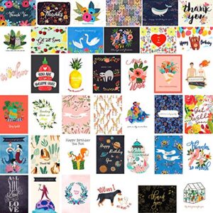 fresh & lucky 40 greeting cards assortment box all occasion with white envelopes – 4″ x 6″ folded thick cards with colorful, funny unique designs