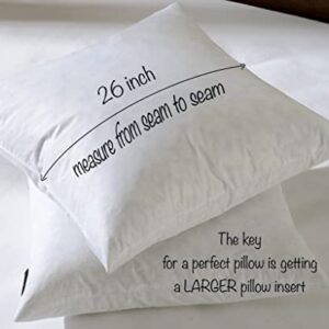 basic home 26x26 Euro Throw Pillow Inserts-Down Feather Pillow Inserts-Cotton Fabric-Set of 2-White