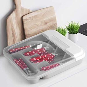 Zilpoo Flatware Plastic Tray with Hinged Lid, Kitchen Cutlery and Utensil Drawer Organizer, Silverware Countertop Storage Container with Attached Cover