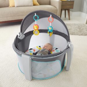 Fisher-Price Portable Bassinet and Travel-Play Area with Baby Toys, Indoor and Outdoor Use, On-the-Go Baby Dome, Windmill