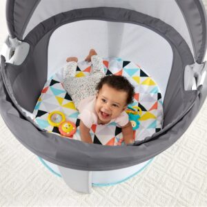 Fisher-Price Portable Bassinet and Travel-Play Area with Baby Toys, Indoor and Outdoor Use, On-the-Go Baby Dome, Windmill