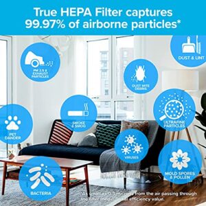 Filtrete F1 Room Air Purifier Filter, True HEPA Premium Allergen, Bacteria, & Virus, 12 in. x 6.75 in., 2-Pack, works with devices: FAP-C01BA-G1, FAP-T02WA-G1 and FAP-ST02N