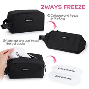 Freezable Lunch Bag,Freezable Snack Bag,Mini Cooler Bag for Travel/Work/School,Small Insulated Bag,Small Cooler Lunch Box with Ice Packs,Insulated Snack Bag,Freezable Snack Box with Handle Buckle