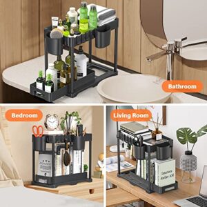 HINZER Under Sink Organizers and Storage, Slide Out Kitchen Cabinet Organizer 2 Tier Bathroom Counter Organizer with Hooks, Hanging Cups, Dividers, Multipurpose Cleaning Supplies Organizer for Home