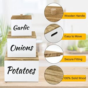 Potato and Onion Storage Bin Set of 3, Farmhouse Kitchen Storage Container Set for Potato Onion Garlic, Wood Potato Storage with Lid, Onion Storage Garlic Keeper, Potato Box, Onion and Potato Storage