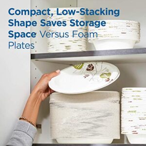 Dixie 8.5” Medium-Weight Paper Plates by GP PRO (Georgia-Pacific), Pathways, UX9WS, 500 Count (125 Plates Per Pack, 4 Packs Per Case)