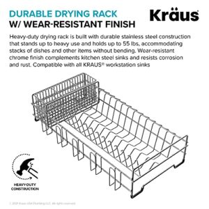 Kraus KDR-3 Kore Kitchen Sink Dish Drying Rack Drainer and Utensil Holder, 17 inch, Silver