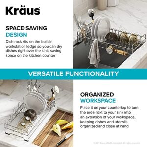 Kraus KDR-3 Kore Kitchen Sink Dish Drying Rack Drainer and Utensil Holder, 17 inch, Silver