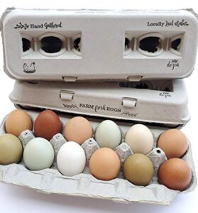 250 egg cartons – vintage design with blank center for your custom stamp at a cheap bulk price, 100% recycled biodegradable cardboard cartons, sturdy & reusable, holds small to xl chicken eggs