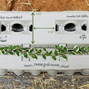 250 Egg Cartons – Vintage Design with Blank Center for Your Custom Stamp at a Cheap Bulk Price, 100% Recycled Biodegradable Cardboard Cartons, Sturdy & Reusable, Holds Small to XL Chicken Eggs