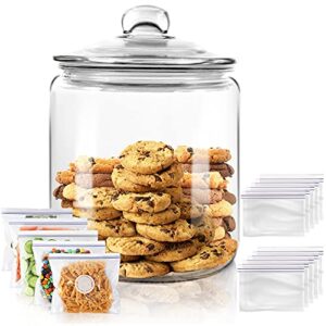 airtight glass jar,cookie candy penny jar with leak proof rubber gasket lid,1 gallon clear round big household multifunctional storage container with silicone reusable food bag for cookies, candies