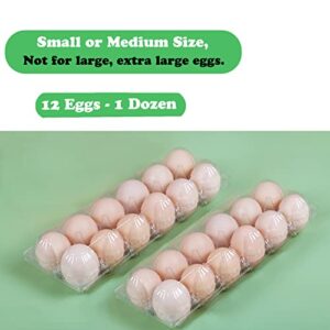 HILELIFE Plastic Egg Cartons Bulk - 40 Pack Clear Plastic Egg Carton Holds Up to 12 Eggs - 1 Dozen, Reusable Egg Carton for Family Pasture Chicken Farm, Refrigerator Storage