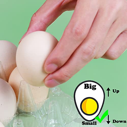 HILELIFE Plastic Egg Cartons Bulk - 40 Pack Clear Plastic Egg Carton Holds Up to 12 Eggs - 1 Dozen, Reusable Egg Carton for Family Pasture Chicken Farm, Refrigerator Storage