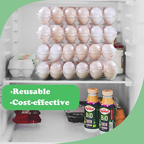 HILELIFE Plastic Egg Cartons Bulk - 40 Pack Clear Plastic Egg Carton Holds Up to 12 Eggs - 1 Dozen, Reusable Egg Carton for Family Pasture Chicken Farm, Refrigerator Storage