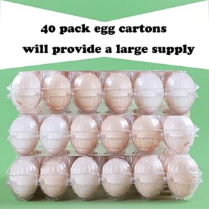 HILELIFE Plastic Egg Cartons Bulk - 40 Pack Clear Plastic Egg Carton Holds Up to 12 Eggs - 1 Dozen, Reusable Egg Carton for Family Pasture Chicken Farm, Refrigerator Storage