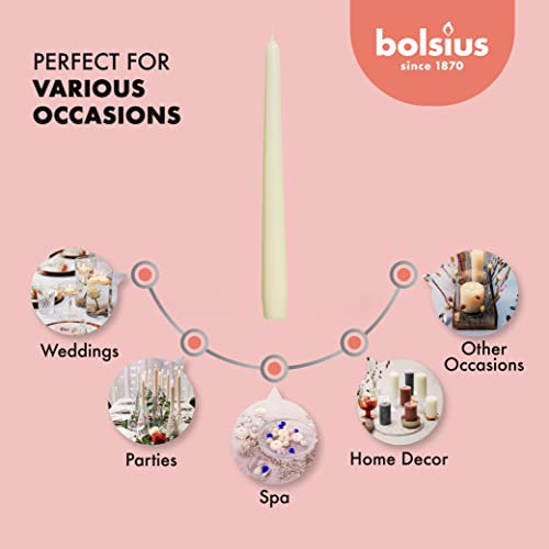 BOLSIUS Ivory Taper Candles - 10 Pack Unscented 10 Inch Dinner Candle Set - 8 Hours Burn Time - Premium European Quality - Smokeless and Dripless Household, Wedding, Party, and Home Décor Candlesticks